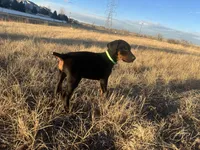 processed/8d7c7950-f774-4fb5-b47b-0c7d28215175/listing/67756715-7f83-40f5-b3af-12fe70b91dce/6d4ec826-f827-455c-ad71-b3ce3c5c9a91