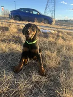 processed/8d7c7950-f774-4fb5-b47b-0c7d28215175/listing/67756715-7f83-40f5-b3af-12fe70b91dce/8956e3ac-3ae7-4d03-92b1-e0887ad99a72