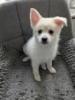 processed/8d84ab91-ea89-4aee-a1a0-c7082e41e657/listing/1d0c970c-6395-4a16-b286-ddd171e38111/07c8ee33-e8b4-454a-85ce-cad16846c2a8