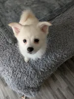 processed/8d84ab91-ea89-4aee-a1a0-c7082e41e657/listing/1d0c970c-6395-4a16-b286-ddd171e38111/27735de2-7377-4209-a78f-36c6c09559df