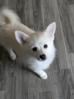 processed/8d84ab91-ea89-4aee-a1a0-c7082e41e657/listing/1d0c970c-6395-4a16-b286-ddd171e38111/33c93bf9-632a-49f1-8a08-31e936a5203f