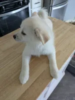 processed/8d84ab91-ea89-4aee-a1a0-c7082e41e657/listing/1d0c970c-6395-4a16-b286-ddd171e38111/9f82e479-1f01-4043-95bd-16111d2b772f