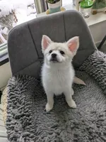 processed/8d84ab91-ea89-4aee-a1a0-c7082e41e657/listing/1d0c970c-6395-4a16-b286-ddd171e38111/a5b5eb15-90dd-41b3-afa1-348dd676fe75