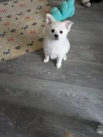 processed/8d84ab91-ea89-4aee-a1a0-c7082e41e657/listing/1d0c970c-6395-4a16-b286-ddd171e38111/ad9b569b-3ee8-4f46-a3d3-04ffbc603a1d