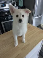 processed/8d84ab91-ea89-4aee-a1a0-c7082e41e657/listing/1d0c970c-6395-4a16-b286-ddd171e38111/d0e40106-8bf8-44e3-ae54-d0d8d73d119c