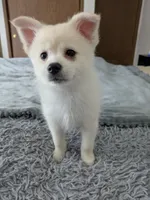 processed/8d84ab91-ea89-4aee-a1a0-c7082e41e657/listing/1d0c970c-6395-4a16-b286-ddd171e38111/d5c85fa3-0a18-4d33-a7ee-9c7978dac202