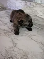 processed/8d84ab91-ea89-4aee-a1a0-c7082e41e657/listing/2c038dd9-7914-4d7e-ab0b-5536bc52ecd0/50dfd8d7-bb37-4cb0-a625-d33fd60f6bc3