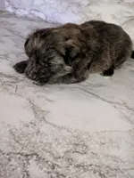 processed/8d84ab91-ea89-4aee-a1a0-c7082e41e657/listing/2c038dd9-7914-4d7e-ab0b-5536bc52ecd0/61816b8f-5e25-47fd-9d7e-eb513c4e9a95