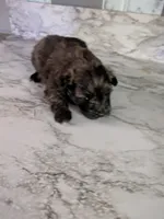 processed/8d84ab91-ea89-4aee-a1a0-c7082e41e657/listing/2c038dd9-7914-4d7e-ab0b-5536bc52ecd0/62f272ab-f0cb-4088-b11c-70e997eabe30