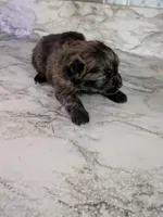 processed/8d84ab91-ea89-4aee-a1a0-c7082e41e657/listing/2c038dd9-7914-4d7e-ab0b-5536bc52ecd0/a8513375-4394-426f-91b8-54b7aaef14d1