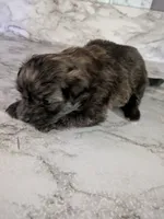 processed/8d84ab91-ea89-4aee-a1a0-c7082e41e657/listing/2c038dd9-7914-4d7e-ab0b-5536bc52ecd0/b9972ffb-e558-43c0-ac19-e148f594f744