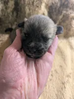 processed/8d84ab91-ea89-4aee-a1a0-c7082e41e657/listing/2d8b595d-f991-4f2a-b267-ef9882310a75/093b6cb8-fade-4af2-8020-f6f710e38166