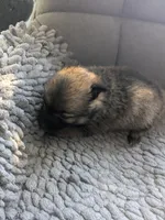 processed/8d84ab91-ea89-4aee-a1a0-c7082e41e657/listing/2d8b595d-f991-4f2a-b267-ef9882310a75/0f662e2a-a460-460b-8fd4-3ae13f520c74