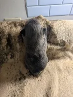 processed/8d84ab91-ea89-4aee-a1a0-c7082e41e657/listing/2d8b595d-f991-4f2a-b267-ef9882310a75/473dc01c-63ab-405e-a3bd-eb6b664f02d6