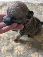 processed/8d84ab91-ea89-4aee-a1a0-c7082e41e657/listing/2d8b595d-f991-4f2a-b267-ef9882310a75/62b0d7ed-6b1e-4a35-a2fa-3ac9cbf9aaa2