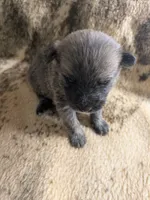 processed/8d84ab91-ea89-4aee-a1a0-c7082e41e657/listing/2d8b595d-f991-4f2a-b267-ef9882310a75/91a8492a-b738-4d83-a9f7-1d4b3e4d31e1