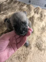 processed/8d84ab91-ea89-4aee-a1a0-c7082e41e657/listing/2d8b595d-f991-4f2a-b267-ef9882310a75/9e8fb9ae-cd92-42ac-8135-035bcf2758c2