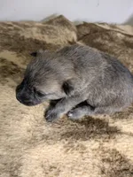 processed/8d84ab91-ea89-4aee-a1a0-c7082e41e657/listing/2d8b595d-f991-4f2a-b267-ef9882310a75/e29f3ef5-bb06-4b71-9d67-c1b45e4795a7