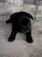 processed/8d84ab91-ea89-4aee-a1a0-c7082e41e657/listing/7019f40b-2363-47be-a5f9-94914756a3db/2689cdf3-2ad6-4b0b-899d-bac959e8da7b