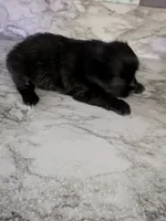 processed/8d84ab91-ea89-4aee-a1a0-c7082e41e657/listing/7019f40b-2363-47be-a5f9-94914756a3db/6446b1dd-5808-4da6-89d5-1e4315de07ca