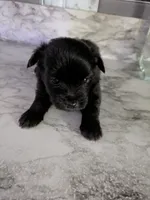 processed/8d84ab91-ea89-4aee-a1a0-c7082e41e657/listing/7019f40b-2363-47be-a5f9-94914756a3db/91304396-44ee-4c3c-91cf-b3770942e6bf