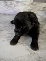 processed/8d84ab91-ea89-4aee-a1a0-c7082e41e657/listing/7019f40b-2363-47be-a5f9-94914756a3db/aa94b18a-7eb8-4c98-aeb7-29265b5fd0a4