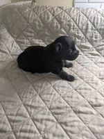 processed/8d84ab91-ea89-4aee-a1a0-c7082e41e657/listing/7019f40b-2363-47be-a5f9-94914756a3db/bb9ad754-0af3-4d5b-bac8-1b5fae8e5e60