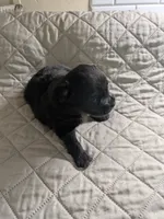 processed/8d84ab91-ea89-4aee-a1a0-c7082e41e657/listing/7019f40b-2363-47be-a5f9-94914756a3db/f0680e91-5d0b-4255-a40b-9a4a8221abb1