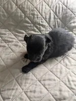 processed/8d84ab91-ea89-4aee-a1a0-c7082e41e657/listing/7019f40b-2363-47be-a5f9-94914756a3db/fe1c2f15-fe5f-44da-b4a3-b79956f7d686