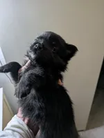 processed/8d84ab91-ea89-4aee-a1a0-c7082e41e657/listing/72e7726f-e914-4bf5-bbd2-3ced350a6856/2a874c20-8890-422f-bb69-d4a4513a1ccc