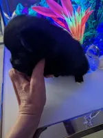 processed/8d84ab91-ea89-4aee-a1a0-c7082e41e657/listing/72e7726f-e914-4bf5-bbd2-3ced350a6856/4a0255c1-e6fc-4581-81c8-71452bee94c6