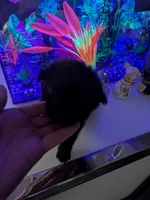 processed/8d84ab91-ea89-4aee-a1a0-c7082e41e657/listing/72e7726f-e914-4bf5-bbd2-3ced350a6856/abd1d3f3-e3df-4f8d-a613-f5158045c66b