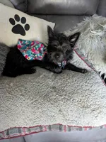 processed/8d84ab91-ea89-4aee-a1a0-c7082e41e657/listing/72e7726f-e914-4bf5-bbd2-3ced350a6856/c5275ea9-3857-4b4d-8378-e99cade40288