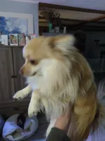 processed/8d84ab91-ea89-4aee-a1a0-c7082e41e657/listing/72e7726f-e914-4bf5-bbd2-3ced350a6856/d5974772-a035-4935-875d-a2a35608985f