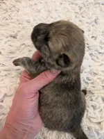 processed/8d84ab91-ea89-4aee-a1a0-c7082e41e657/listing/c3e3d6ce-1331-4b99-b737-7c60a94ea76c/01a66724-e55d-4d97-972d-2170510fe135