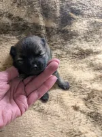 processed/8d84ab91-ea89-4aee-a1a0-c7082e41e657/listing/c3e3d6ce-1331-4b99-b737-7c60a94ea76c/077ca56d-80cc-47a6-99f3-51f847ddef5c