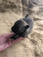 processed/8d84ab91-ea89-4aee-a1a0-c7082e41e657/listing/c3e3d6ce-1331-4b99-b737-7c60a94ea76c/07eaae3c-d9d9-420f-9522-5dc5f956d796