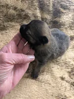 processed/8d84ab91-ea89-4aee-a1a0-c7082e41e657/listing/c3e3d6ce-1331-4b99-b737-7c60a94ea76c/3949be7b-5287-4690-bbb2-9bf63f2eb028