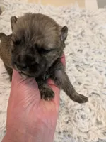 processed/8d84ab91-ea89-4aee-a1a0-c7082e41e657/listing/c3e3d6ce-1331-4b99-b737-7c60a94ea76c/66c41a68-e0eb-4e8e-b0d9-509dffb22904