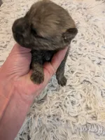 processed/8d84ab91-ea89-4aee-a1a0-c7082e41e657/listing/c3e3d6ce-1331-4b99-b737-7c60a94ea76c/77ce75ba-8578-4913-89dc-ce166f3d82d6