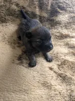 processed/8d84ab91-ea89-4aee-a1a0-c7082e41e657/listing/c3e3d6ce-1331-4b99-b737-7c60a94ea76c/954dd230-d723-493d-a73b-2fe248470024