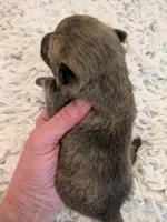 processed/8d84ab91-ea89-4aee-a1a0-c7082e41e657/listing/c3e3d6ce-1331-4b99-b737-7c60a94ea76c/9ba6683d-7c84-40c0-baff-278119c12046