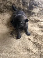 processed/8d84ab91-ea89-4aee-a1a0-c7082e41e657/listing/c3e3d6ce-1331-4b99-b737-7c60a94ea76c/df7b0e7f-6e57-473b-8147-03f54ebee92b