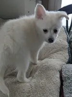 processed/8d84ab91-ea89-4aee-a1a0-c7082e41e657/listing/cb750417-c62f-47eb-9618-65d3cb573aef/01de7884-437e-416f-aa4d-e94c0d45f17e