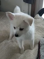 processed/8d84ab91-ea89-4aee-a1a0-c7082e41e657/listing/cb750417-c62f-47eb-9618-65d3cb573aef/62b710a4-5e8c-4ccd-8563-0ce60d219bea