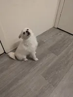 processed/8d84ab91-ea89-4aee-a1a0-c7082e41e657/listing/cb750417-c62f-47eb-9618-65d3cb573aef/7f780afe-515c-4008-8f6a-7ec576674059