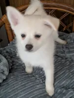 processed/8d84ab91-ea89-4aee-a1a0-c7082e41e657/listing/cb750417-c62f-47eb-9618-65d3cb573aef/d46ef507-b573-4584-99bc-c276e19840c8