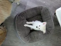 processed/8d84ab91-ea89-4aee-a1a0-c7082e41e657/listing/cb750417-c62f-47eb-9618-65d3cb573aef/fb6114ec-79f8-4e93-955b-d3369f203280