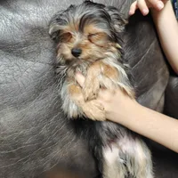 processed/8d89db52-f137-4e2a-bf73-acd6d795d82b/facility/0d680703-40fd-49d4-acf8-c930f4e213e1