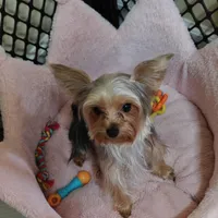 processed/8d89db52-f137-4e2a-bf73-acd6d795d82b/facility/1efad832-2f64-4741-b566-d66c7a10efa1